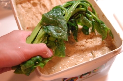 ツルナをぬか床へ