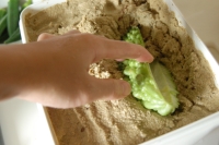 ぬか床のゴーヤ