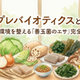 プレバイオティクスの食材たち