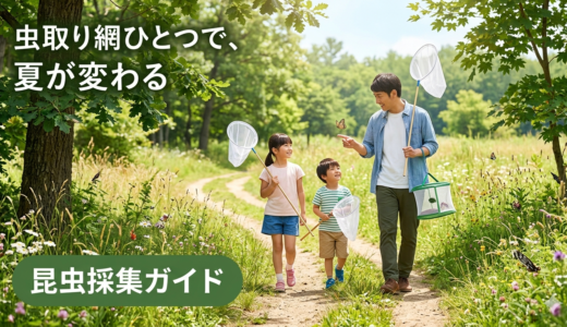 日曜ファーブルのすすめ。虫取り網ひとつで、夏が変わる